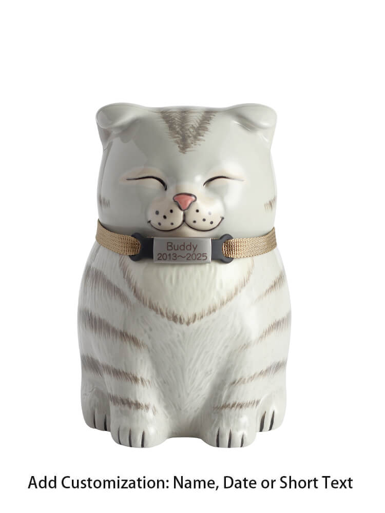 Scottish Fold Cat Pet Urn| Ceramic Cat Urn Memorial |Handmade