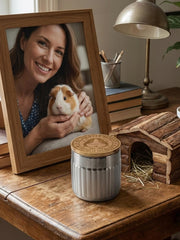 Small pets Ceramic Pet Urn for Ashes Pet Urn|  Ceramic Cat Urn Memorial |Handmade